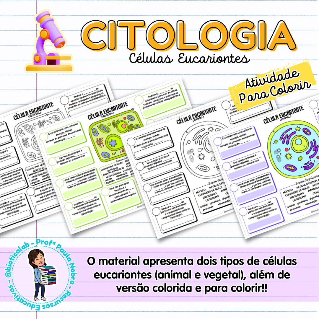 Células Eucariontes - Para colorir – PDF para Imprimir — Matemática para Fundamental II (6º–9º): Nessa atividade os alunos…
