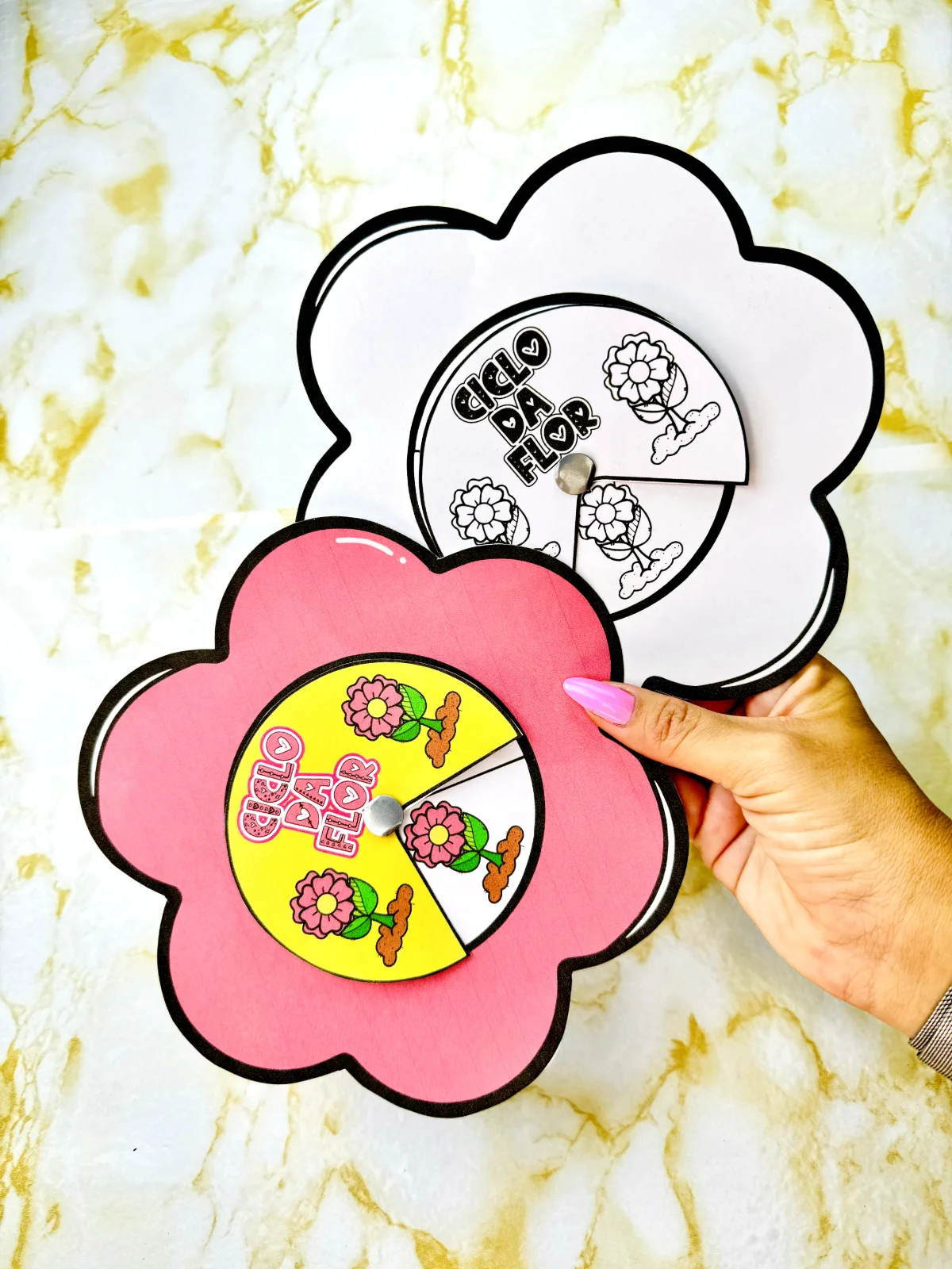 Ciclo da flor - atividade primavera criativa — amostra 3: Explore o Ciclo da Flor de forma divertida e interativa