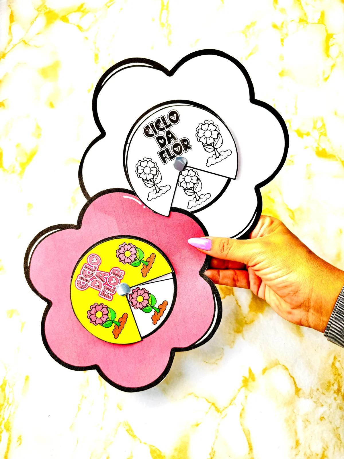 Ciclo da flor - atividade primavera criativa — amostra 4: Explore o Ciclo da Flor de forma divertida e interativa