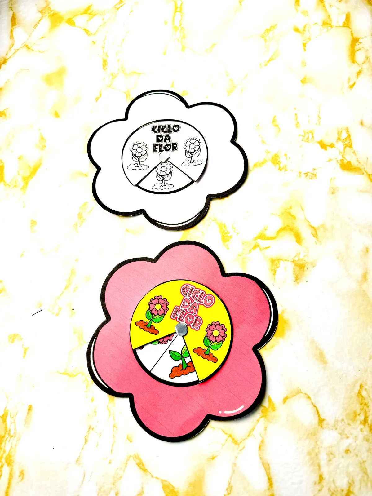 Ciclo da flor - atividade primavera criativa — capa do material