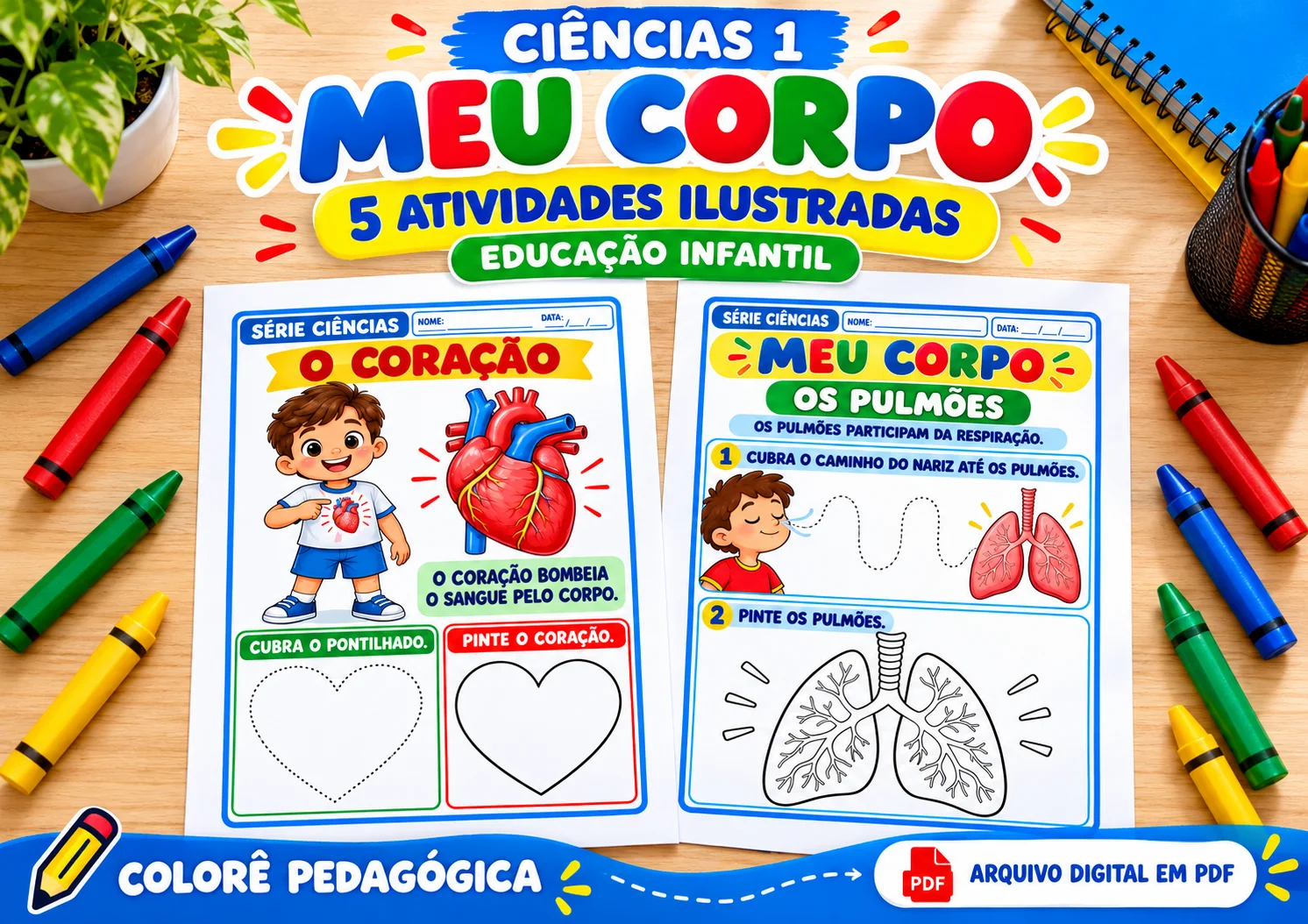 Ciências 1 — Meu Corpo 5 Atividades Ilustradas para Educação Infantil — amostra 3: Explore o corpo humano com 5 atividades…