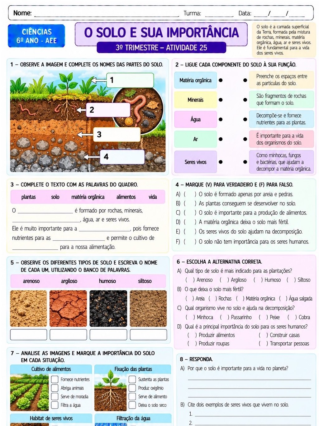 Ciências Adaptadas AEE 6º Ano | 30 Atividades em PDF — amostra 6: 30 atividades de Ciências adaptadas para o 6º ano e AEE,…