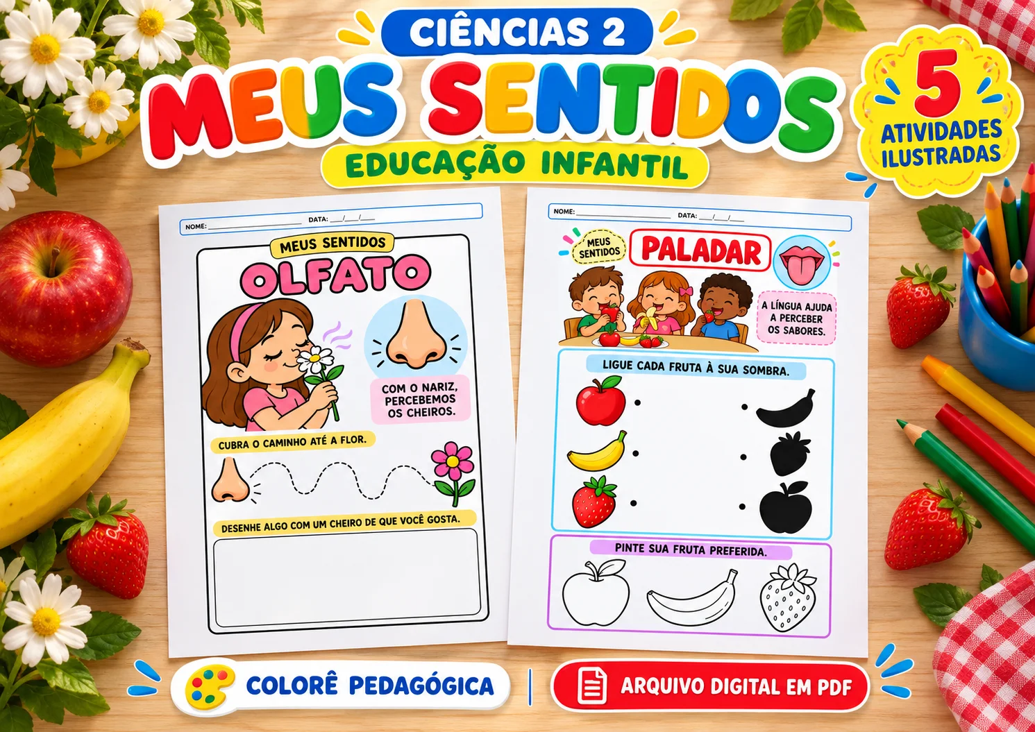 Ciências Meus Sentidos 5 Atividades Ilustradas para Educação Infantil — amostra 3: ✨ DESCRIÇÃO CURTA Descubra os cinco…