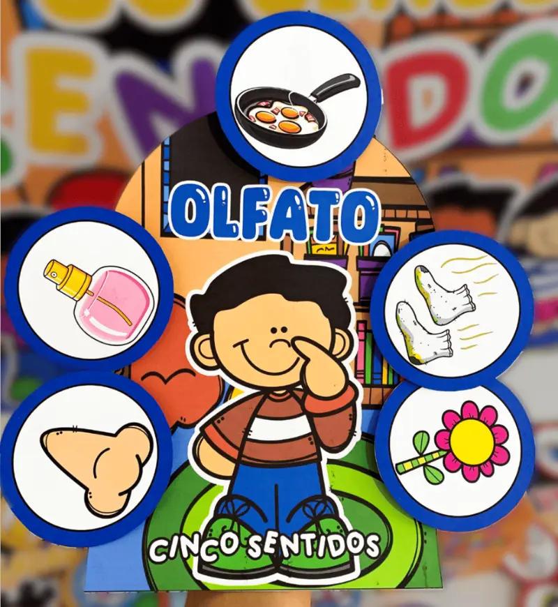 Cinco Sentidos: Kit em PDF para Educação Infantil — amostra 5: Trabalhe os cinco sentidos na Educação Infantil com um kit…