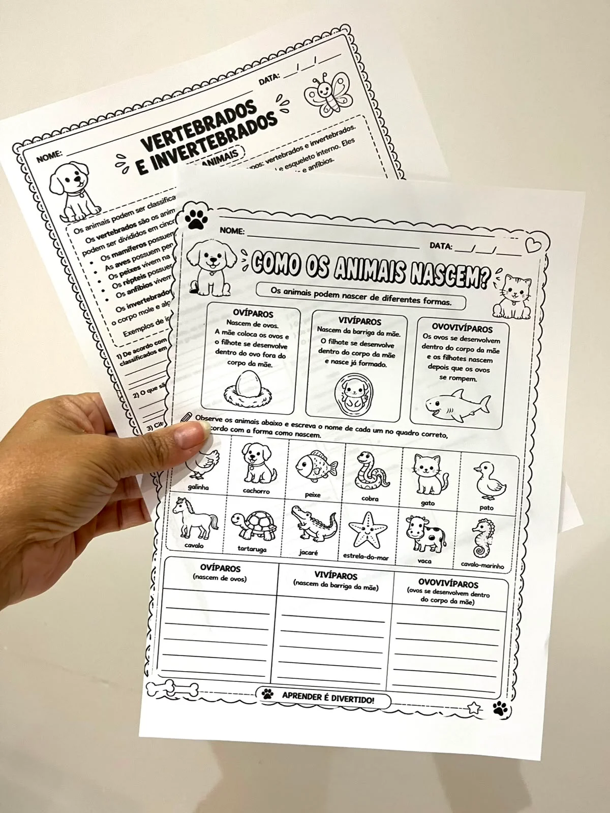 Classificação dos animais – Material Pedagógico — amostra 1: CLASSIFICAÇÃO DOS ANIMAIS