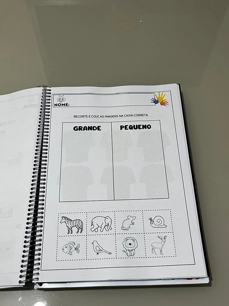 COMBO - Apostilas de atividades adaptadas para Educação Especial — amostra 3: ⭐Ao todo são 213 páginas de atividades…