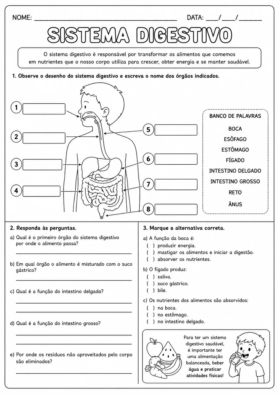 Combo Corpo Humano – 3 Sistemas.– 5° ano — amostra 1: Combo com atividades sobre os sistemas respiratório, digestório e… Combo Corpo Humano – 3 Sistemas.– 5° ano — amostra 1: Combo com atividades sobre os sistemas respiratório, digestório e…