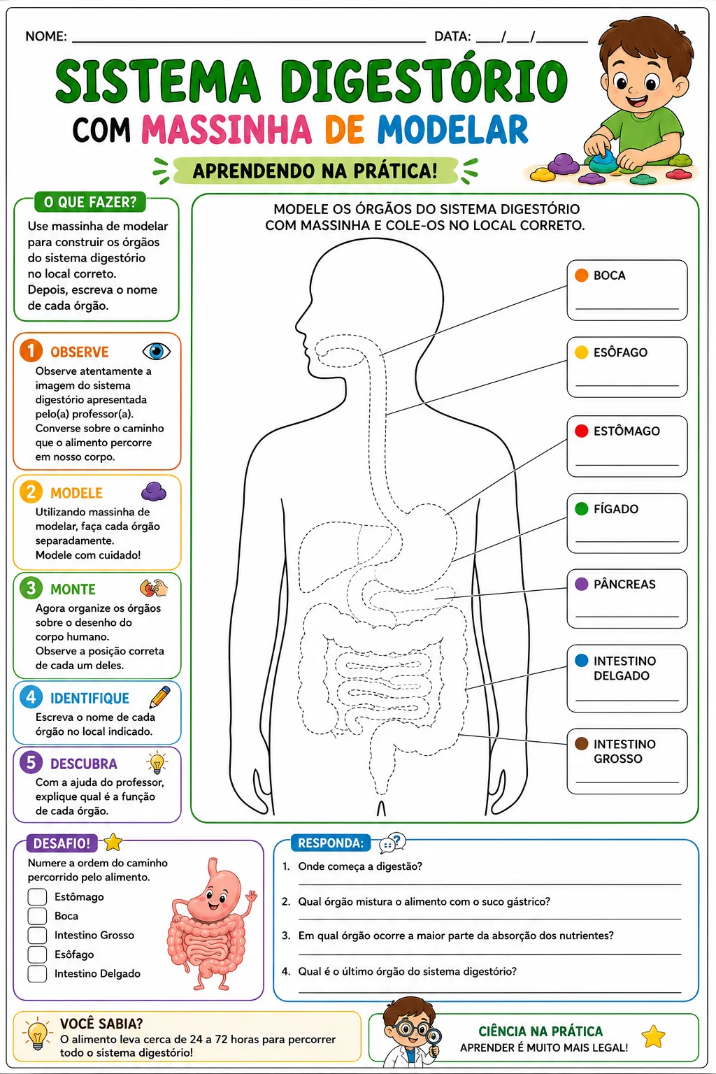 Combo Corpo Humano – 3 Sistemas.– 5° ano — amostra 2: Combo com atividades sobre os sistemas respiratório, digestório e… Combo Corpo Humano – 3 Sistemas.– 5° ano — amostra 2: Combo com atividades sobre os sistemas respiratório, digestório e…