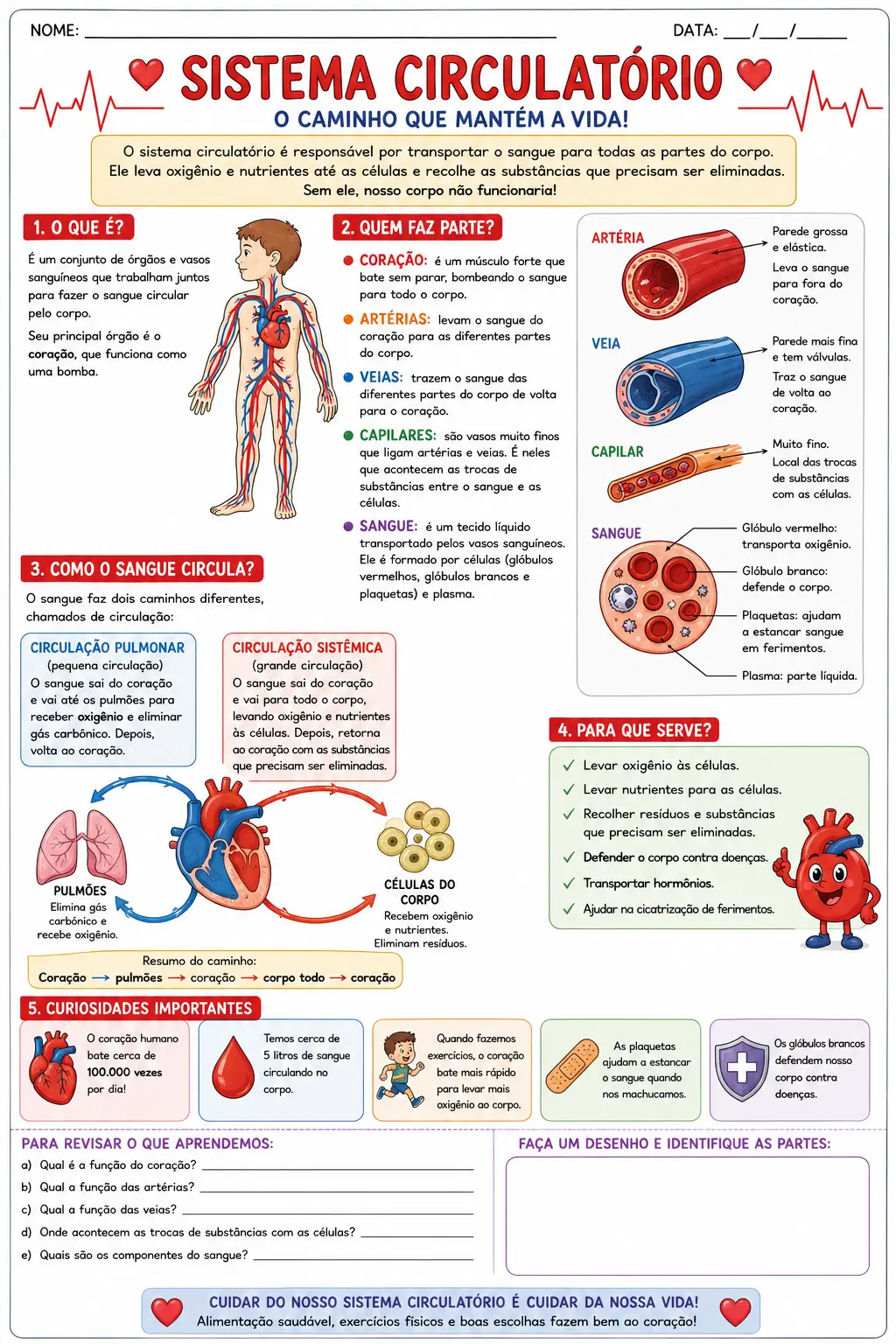 Combo Corpo Humano – 3 Sistemas.– 5° ano — amostra 5: Combo com atividades sobre os sistemas respiratório, digestório e… Combo Corpo Humano – 3 Sistemas.– 5° ano — amostra 5: Combo com atividades sobre os sistemas respiratório, digestório e…