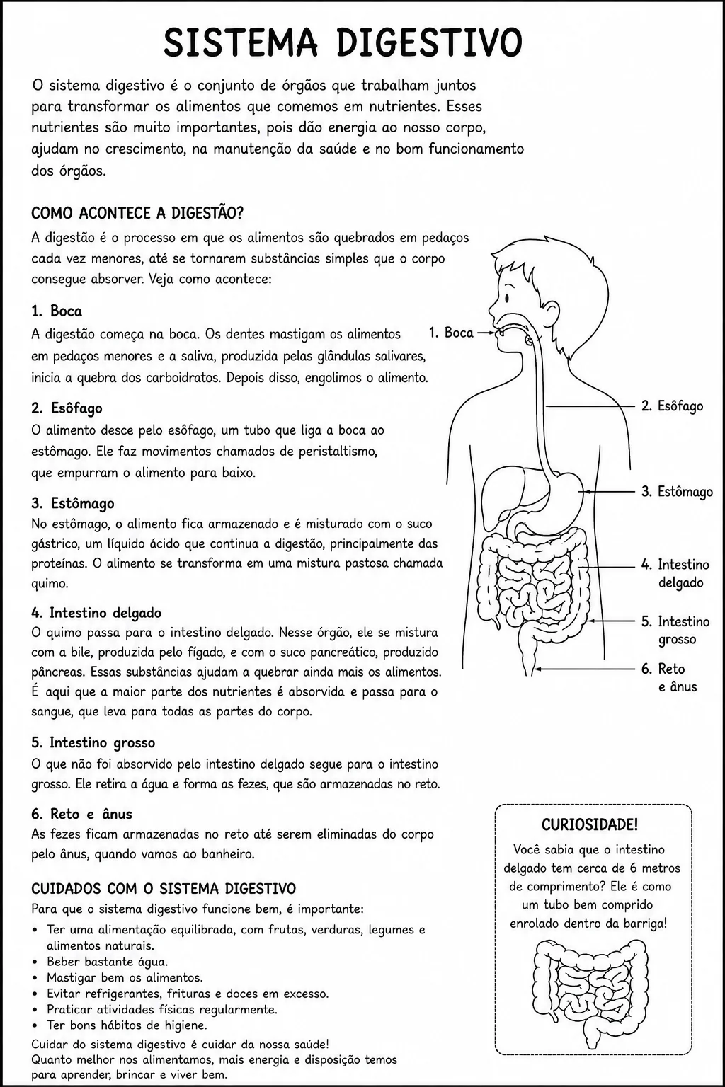 Combo Corpo Humano – 3 Sistemas.– 5° ano — amostra 6: Combo com atividades sobre os sistemas respiratório, digestório e… Combo Corpo Humano – 3 Sistemas.– 5° ano — amostra 6: Combo com atividades sobre os sistemas respiratório, digestório e…