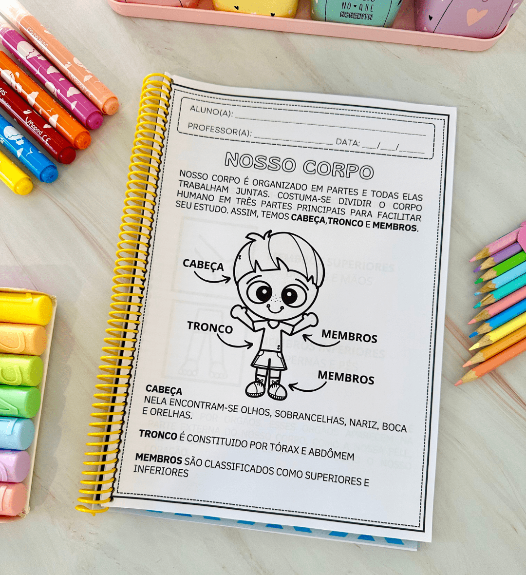 Corpo humano: kit de atividades em PDF para imprimir — amostra 3: Como usar em sala de aula