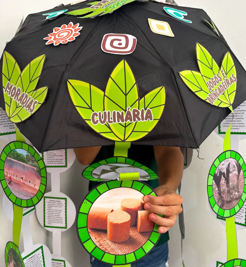 Cultura indígena: guarda-chuva pedagógico em PDF — amostra 4: Para quem é indicado