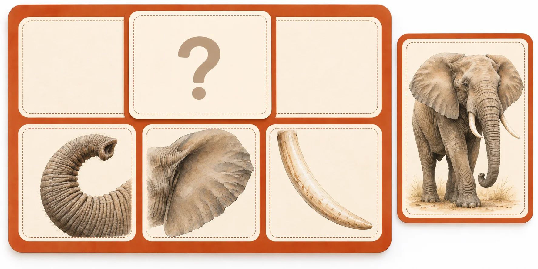 Descubra o Animal! | Jogo de Adivinhação em Inglês com 14 Animais — amostra 4: Descubra 14 animais por meio de pistas visuais