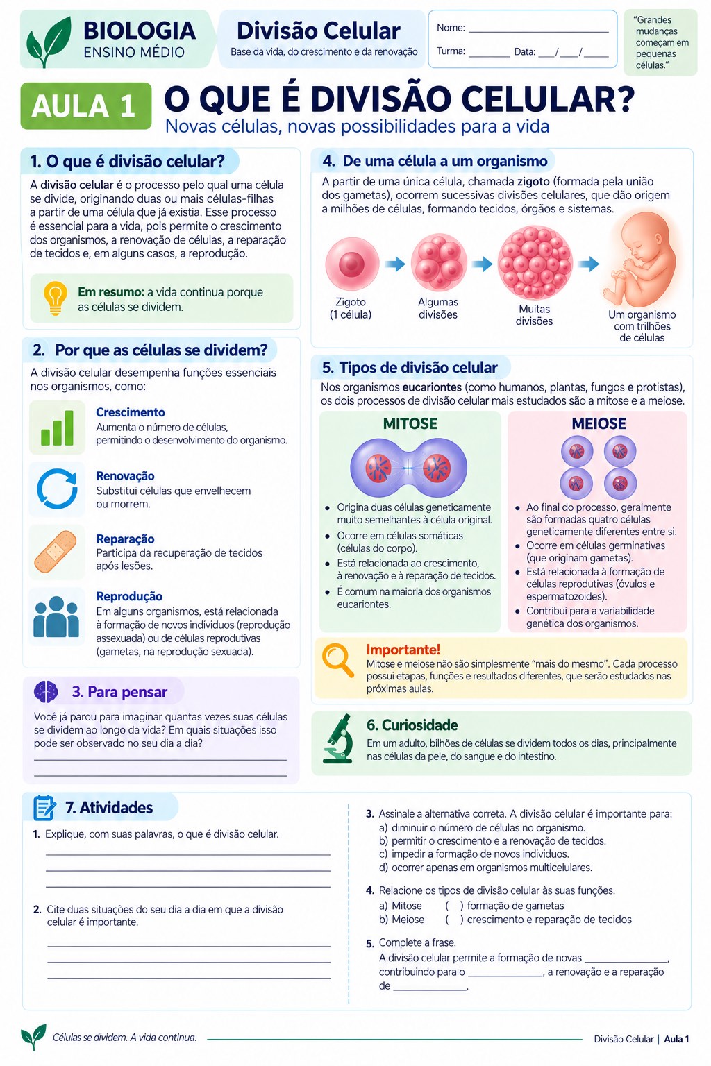 Divisão Celular — 10 atividades +Avaliação Final — amostra 2: Apostila completa de Divisão Celular com 10 aulas ilustradas,…