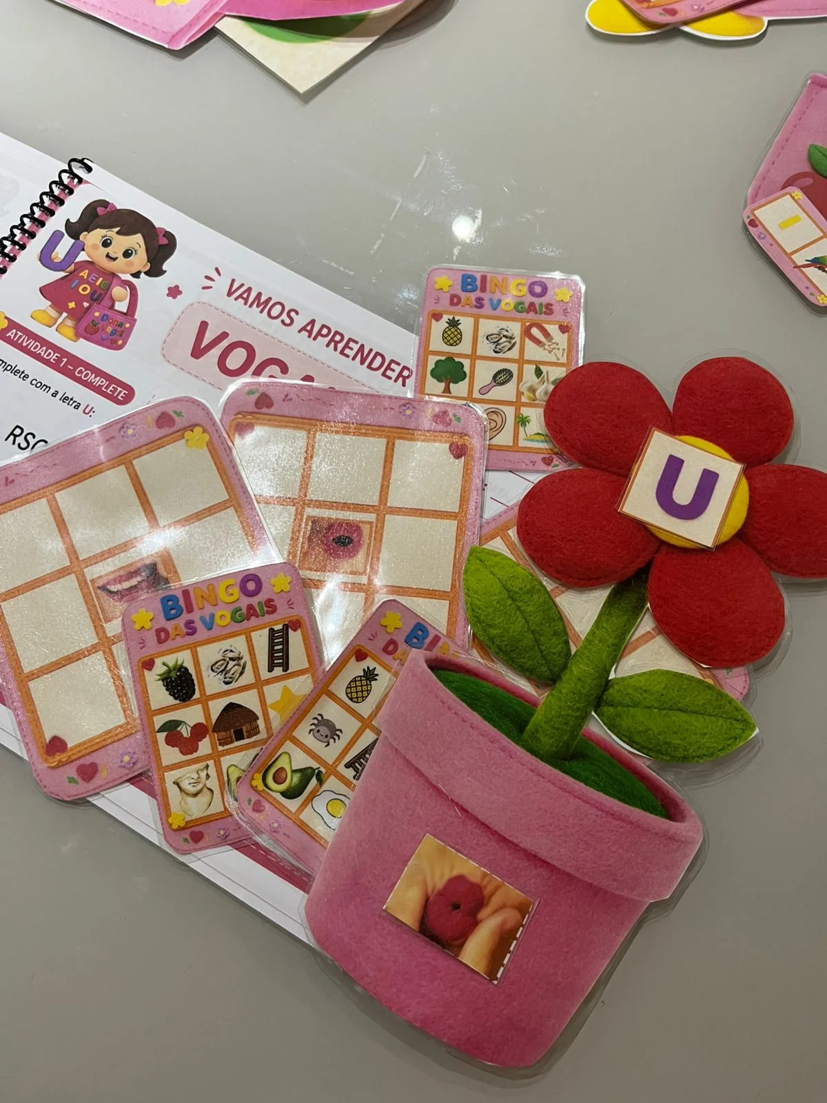 Dona vogal e o bingo das vogais – Material Pedagógico — capa do material