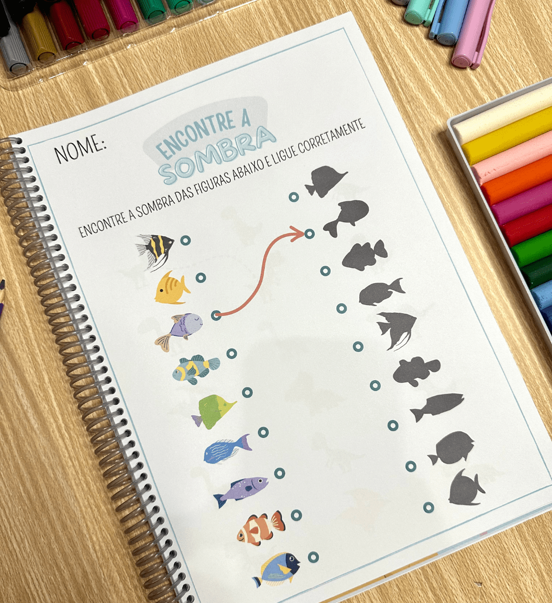 Encontre a Sombra: Atividades de Percepção Visual em PDF — amostra 2: O que vem no material