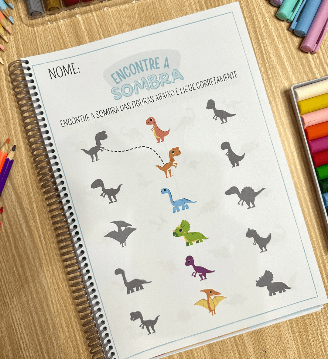 Encontre a Sombra: Atividades de Percepção Visual em PDF — amostra 3: Como usar em sala de aula