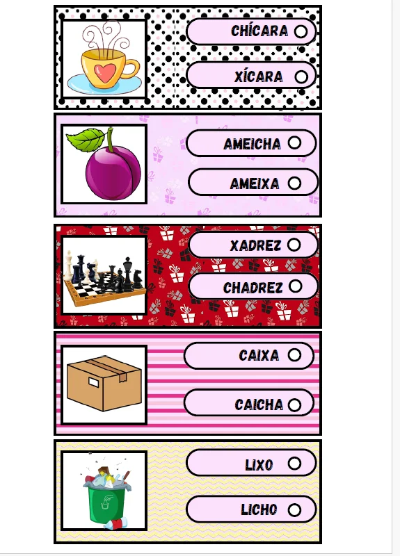 ESCREVE COM X OU CH? – ORTOGRAFIA SEM MISTÉRIOS! — amostra 2: Com o material “Escreve com X ou CH