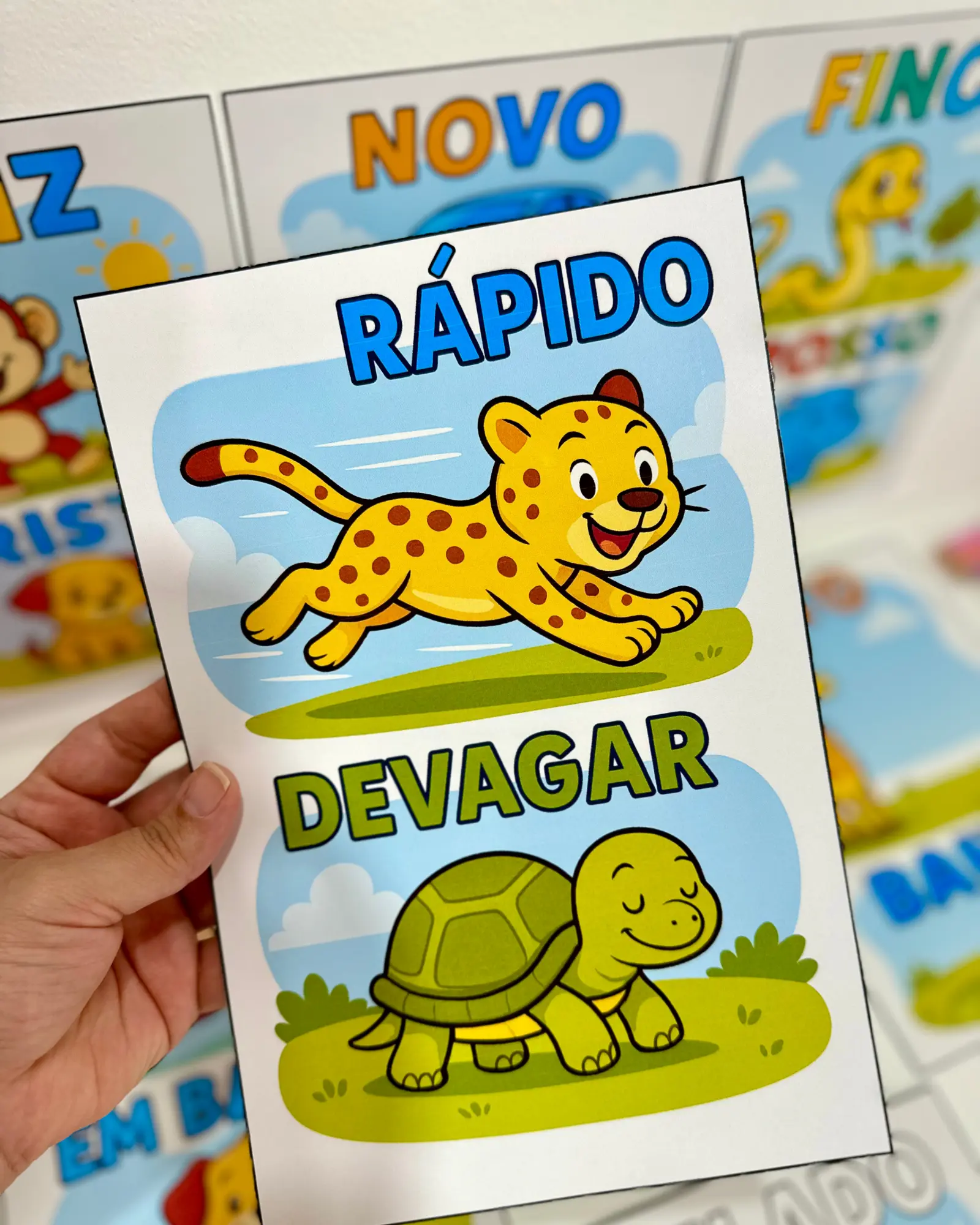 Fichas ilustradas — Conceitos na Educação Infantil — capa do material