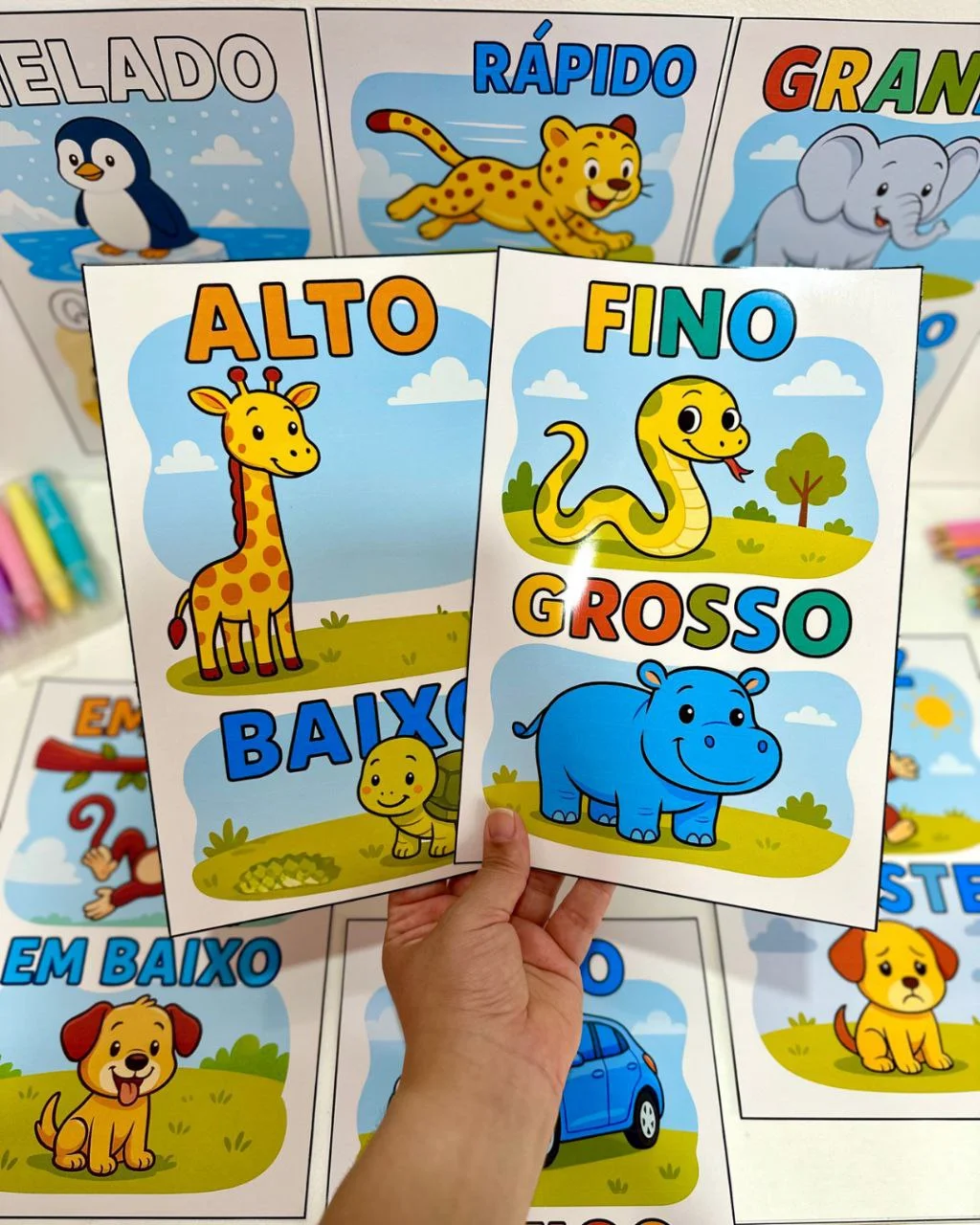 Fichas Ilustradas de Conceitos para Educação Infantil — amostra 3: As Fichas Ilustradas para Trabalhar Conceitos na…