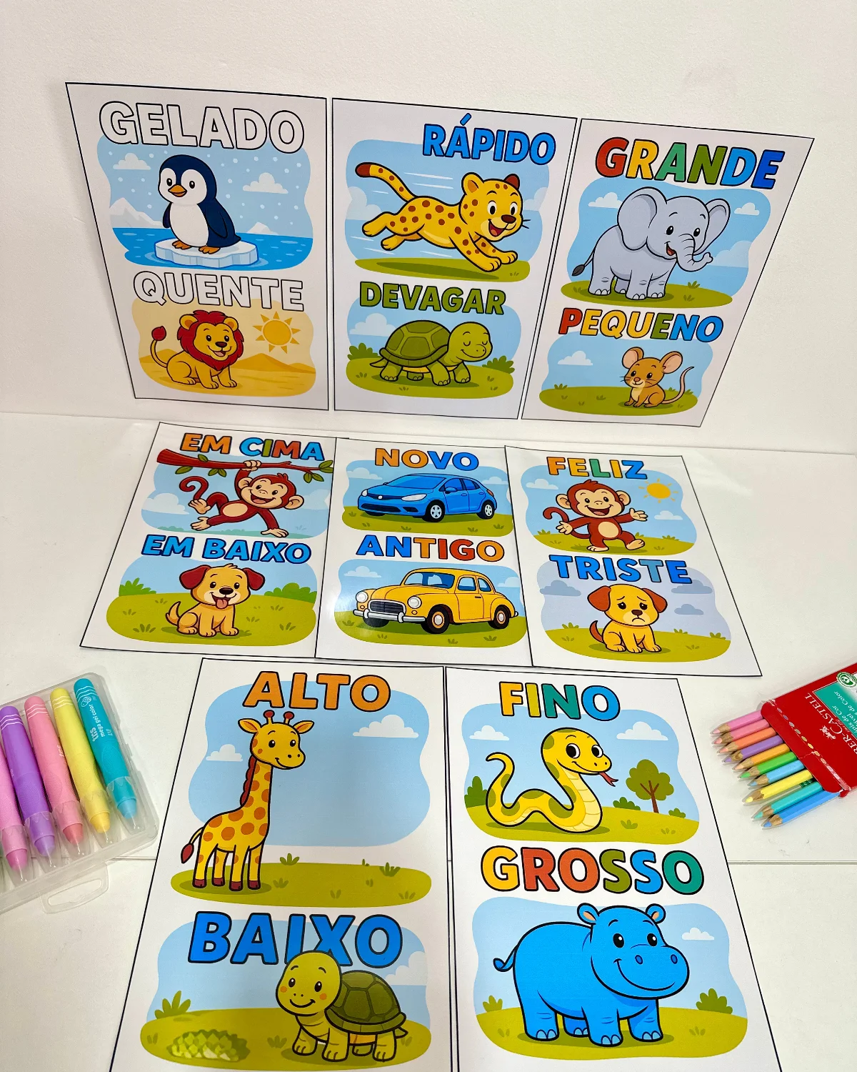 Fichas ilustradas para trabalhar Conceitos na Educação Infantil — amostra 1: Para quem é indicado