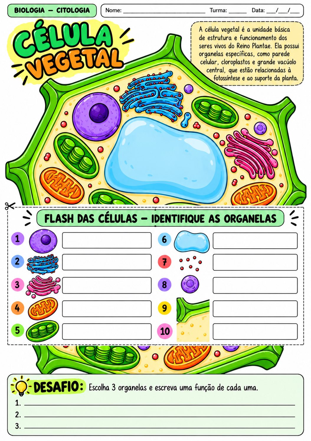 Flash das Células: 10 Atividades de Citologia para Biologia — amostra 1: 10 atividades de Citologia sobre células,…