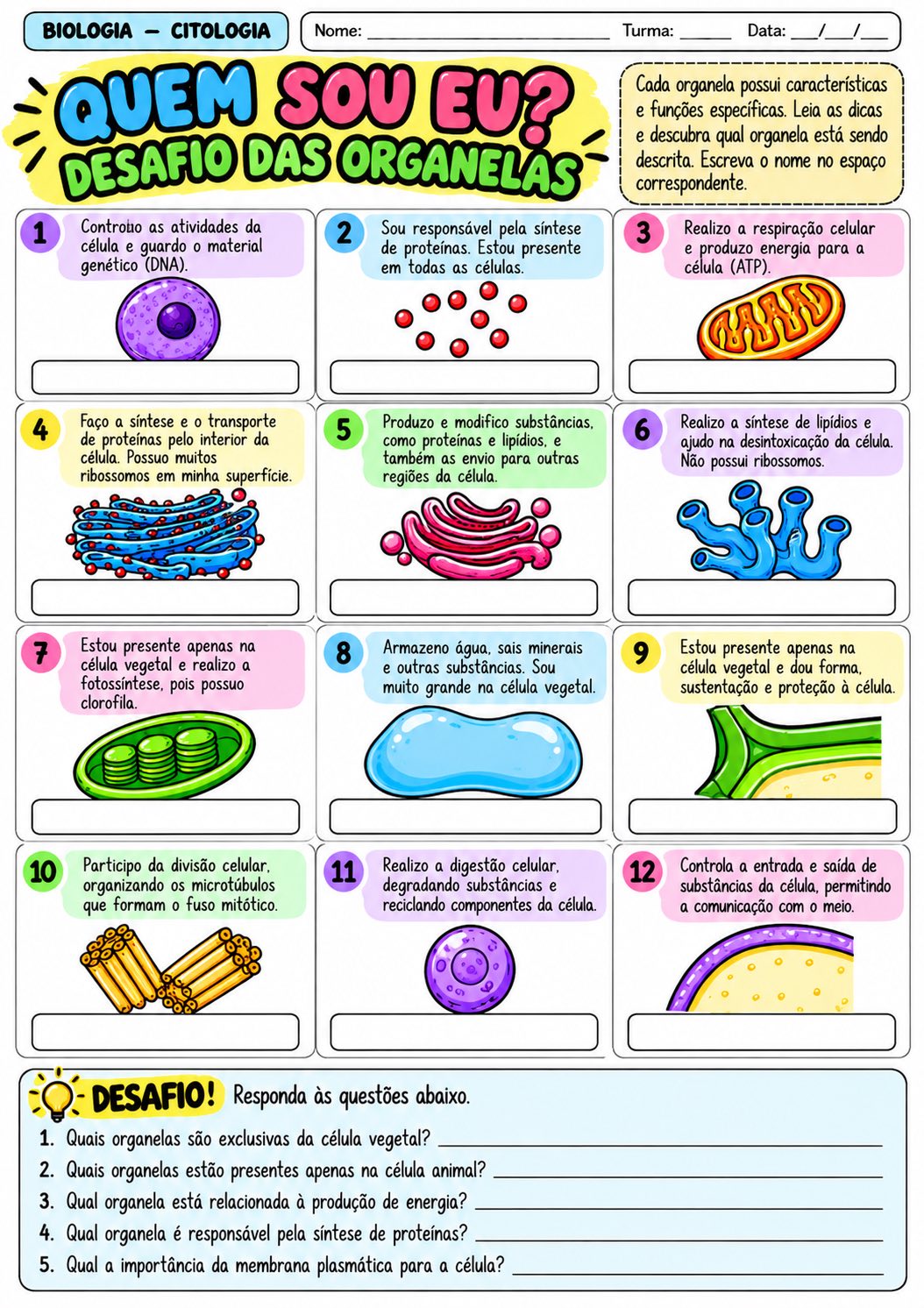 Flash das Células: 10 Atividades de Citologia para Biologia — amostra 4: 10 atividades de Citologia sobre células,…