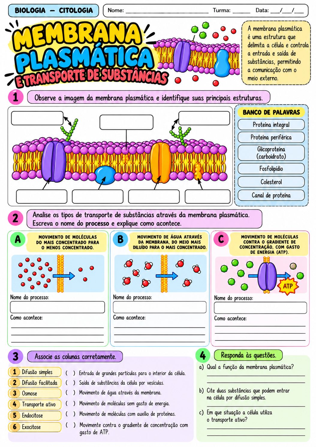 Flash das Células: 10 Atividades de Citologia para Biologia — amostra 5: 10 atividades de Citologia sobre células,…