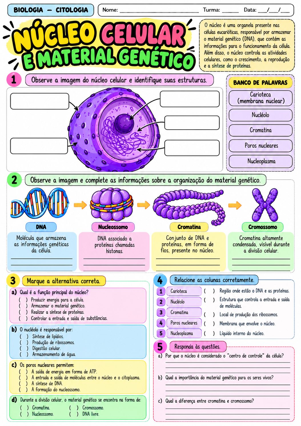 Flash das Células: 10 Atividades de Citologia para Biologia — amostra 6: 10 atividades de Citologia sobre células,…