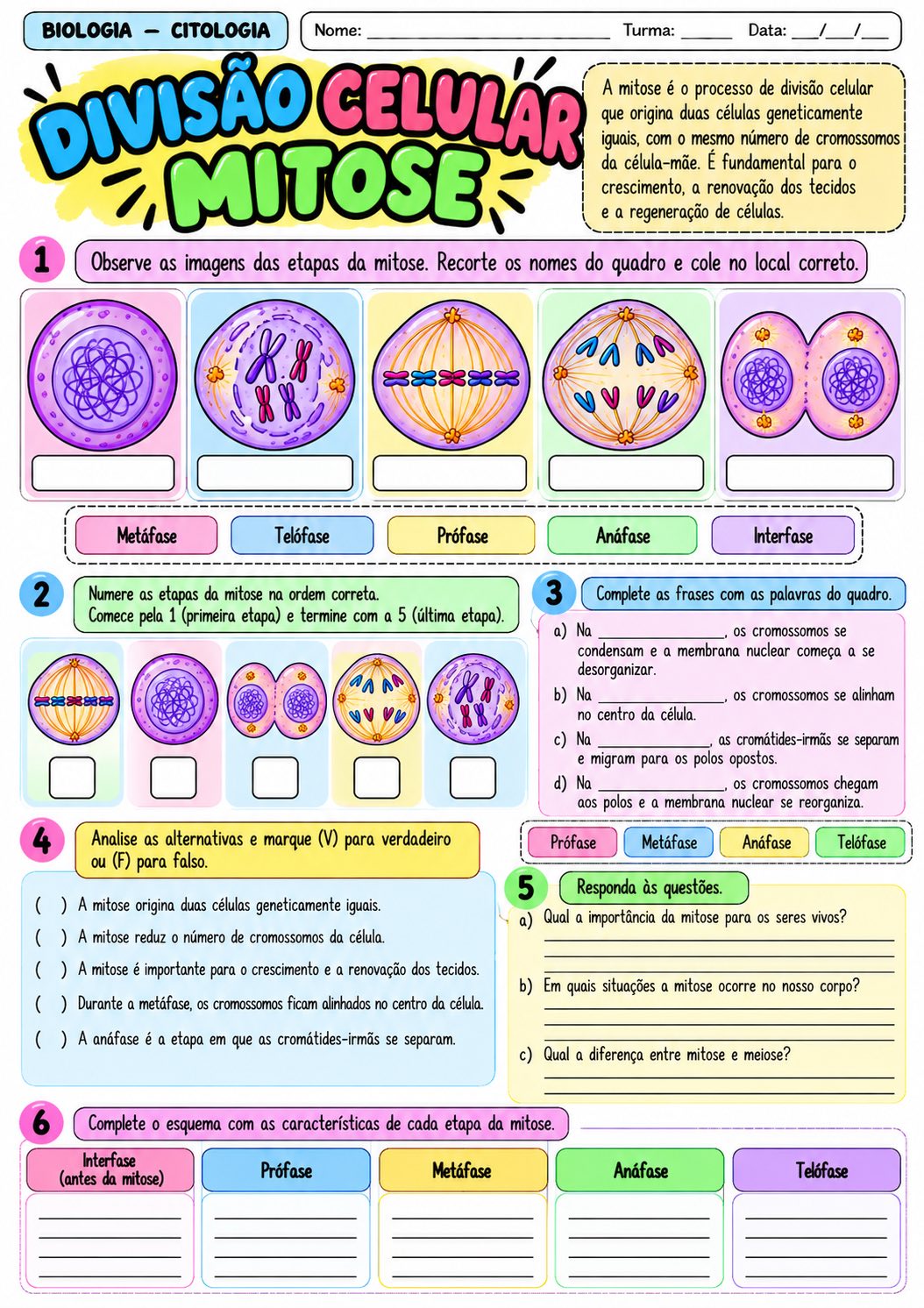 Flash das Células: 10 Atividades de Citologia para Biologia — amostra 7: 10 atividades de Citologia sobre células,…
