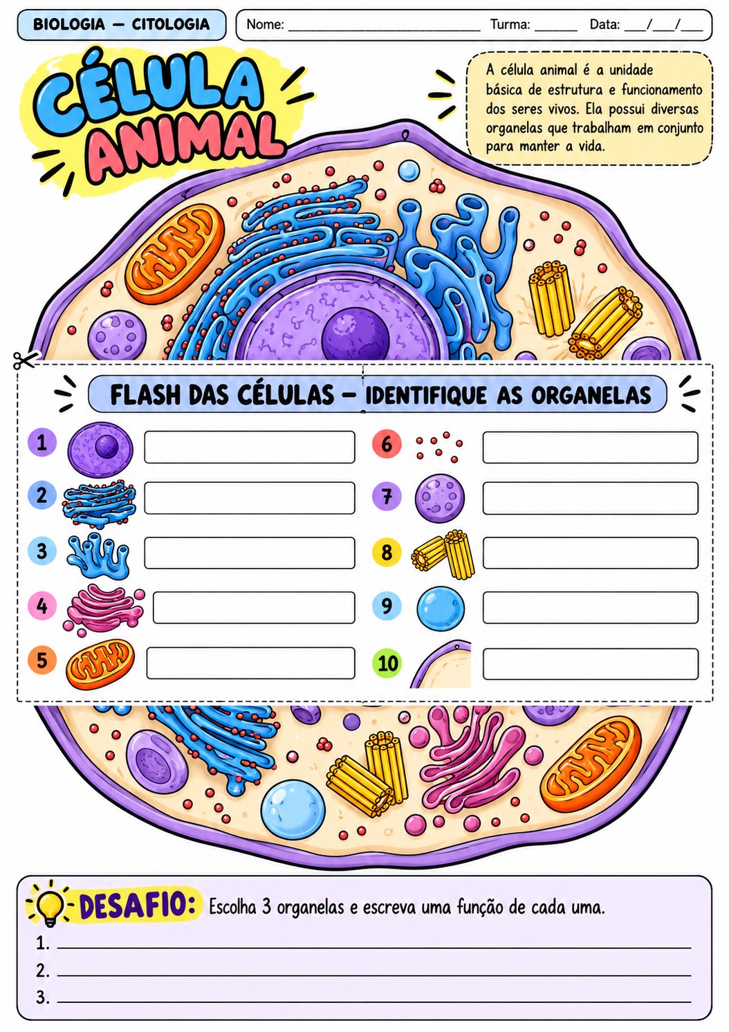 Flash das Células: 10 Atividades de Citologia para Biologia — Português para Fundamental II (6º–9º): 10 atividades de…