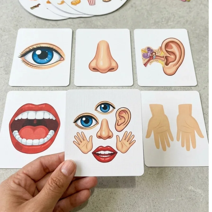 🧠 FLIP BOOK DOS CINCO SENTIDOS: APRENDER DESCOBRINDO! 👁️👂👃👅✋ — capa do material