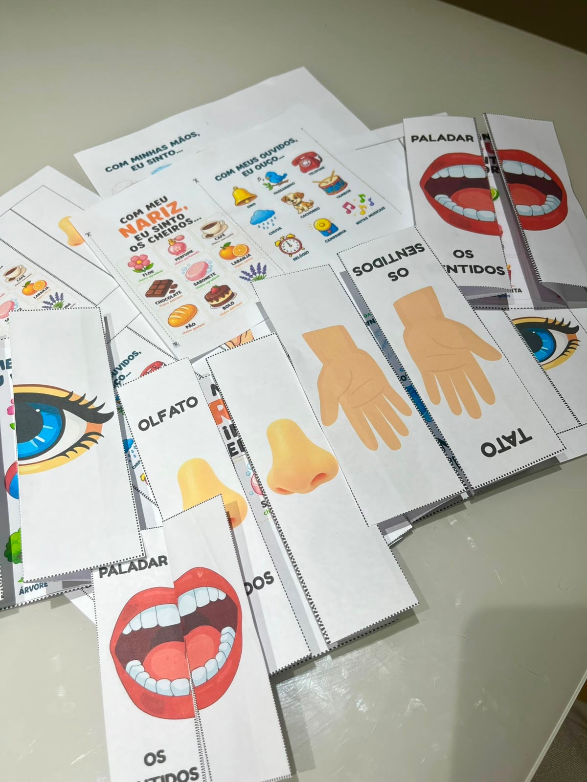 Flip Book dos Cinco Sentidos – Atividade de Ciências Anos Iniciais — amostra 2: Material pedagógico interativo para…