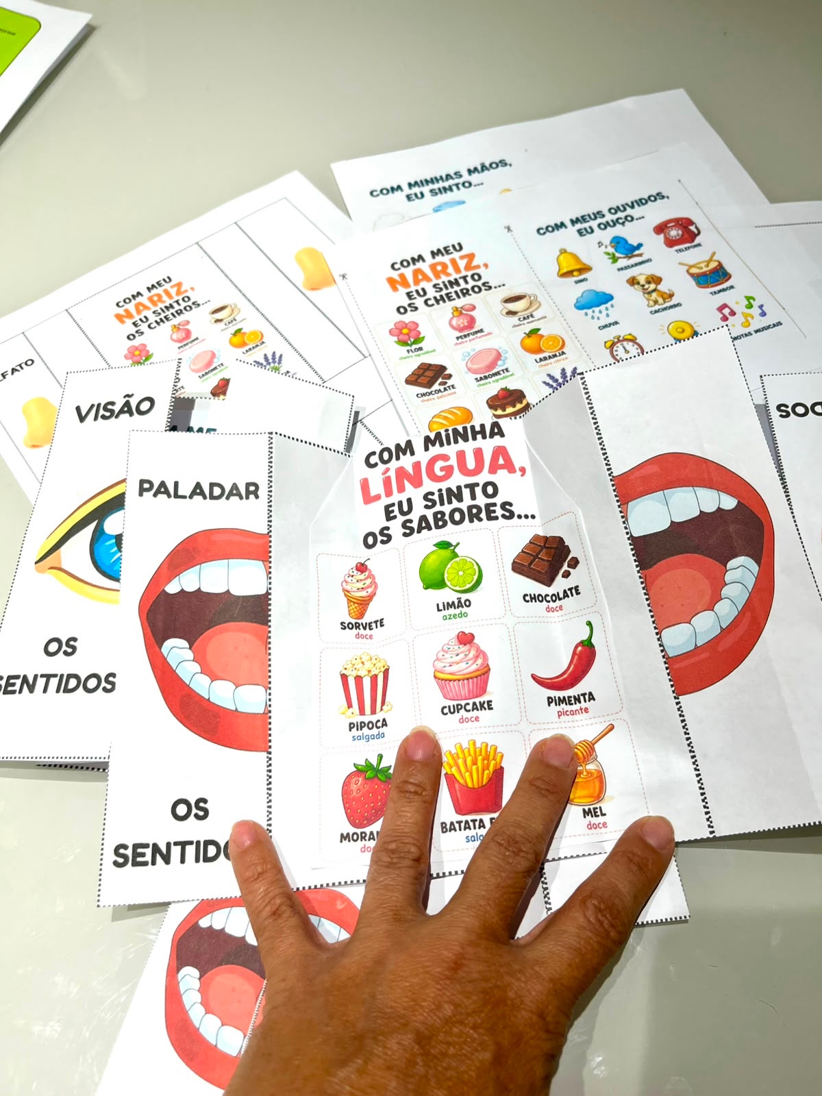 Flip Book dos Cinco Sentidos – Atividade de Ciências Anos Iniciais — amostra 6: Material pedagógico interativo para…