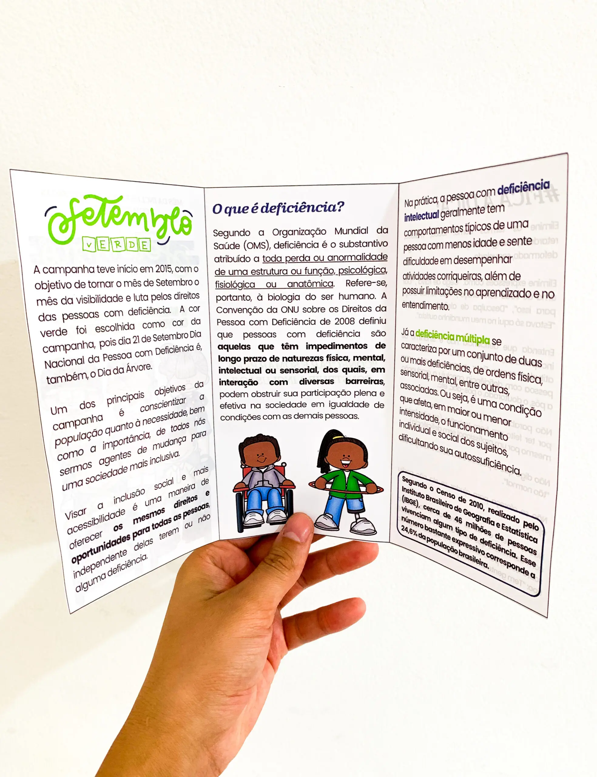 Folder Setembro Verde - Mês da Inclusão das Pessoas com Deficiência — amostra 1: Objetivos Pedagógicos