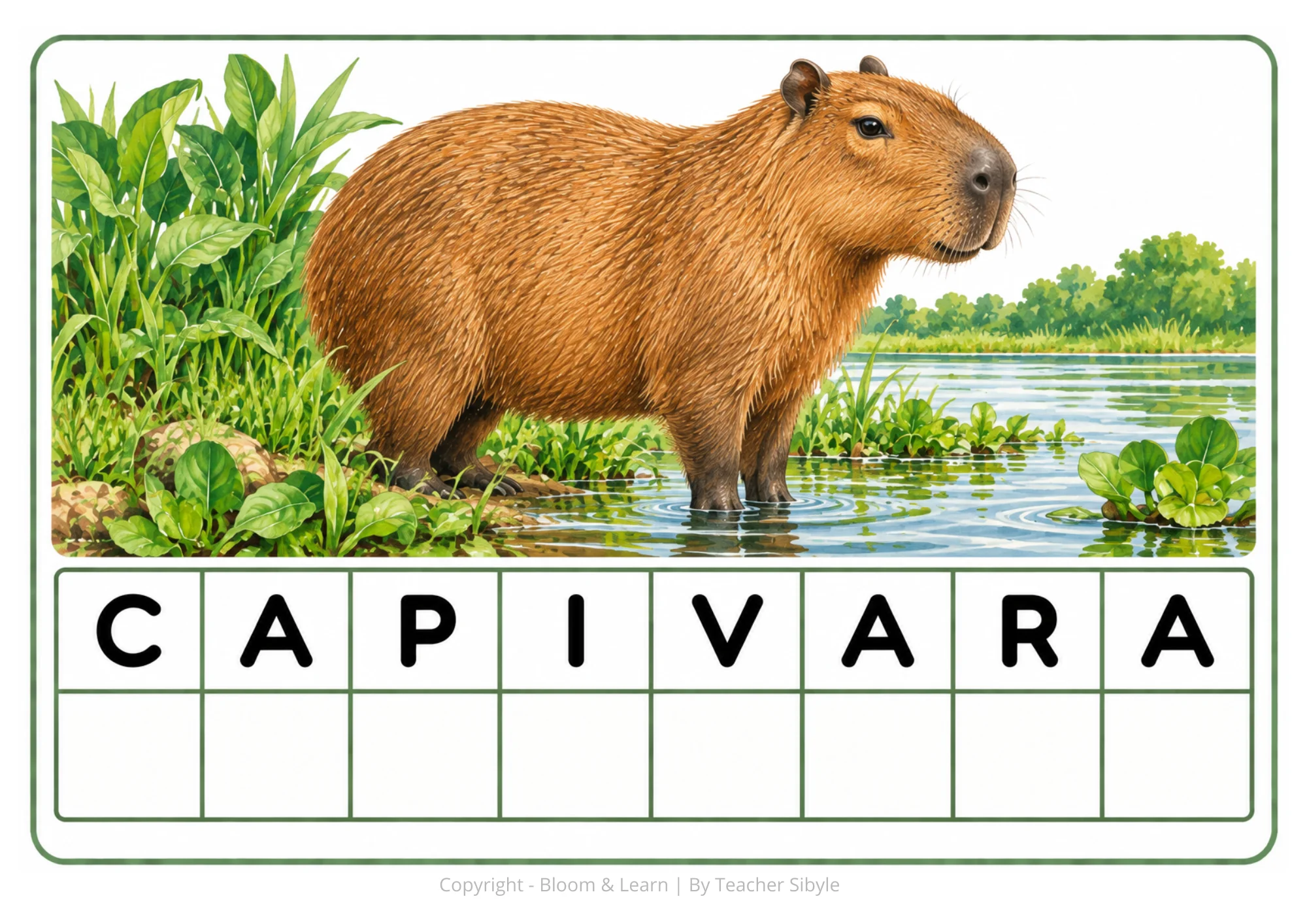 Forme palavras - Animais brasileiros/imagens em aquarela — amostra 2: Aprenda brincando com a fauna brasileira