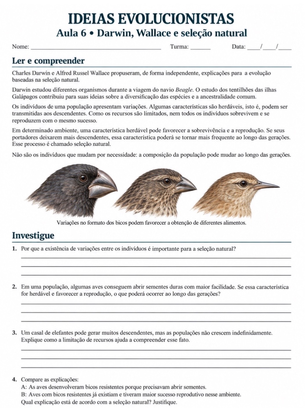 Ideias Evolucionistas: Sequência Didática de Ciências — amostra 3: 8 aulas de Ciências para o 9º ano sobre evolução,…
