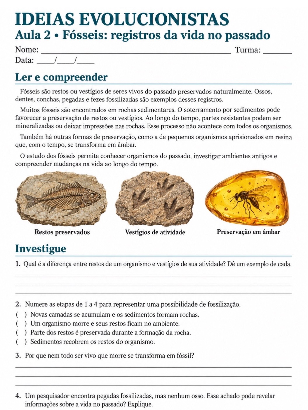 Ideias Evolucionistas: Sequência Didática de Ciências — amostra 7: 8 aulas de Ciências para o 9º ano sobre evolução,…