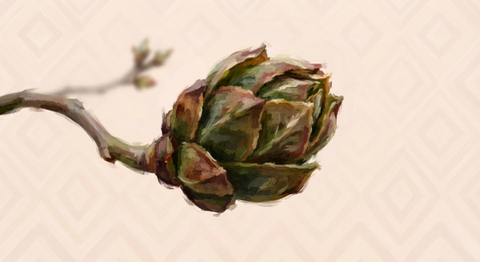 Jardinagem / Gardening e flashcards — amostra 1: Cartões de memorização para uma aula dinâmica Jardinagem / Gardening e flashcards — amostra 1: Cartões de memorização para uma aula dinâmica