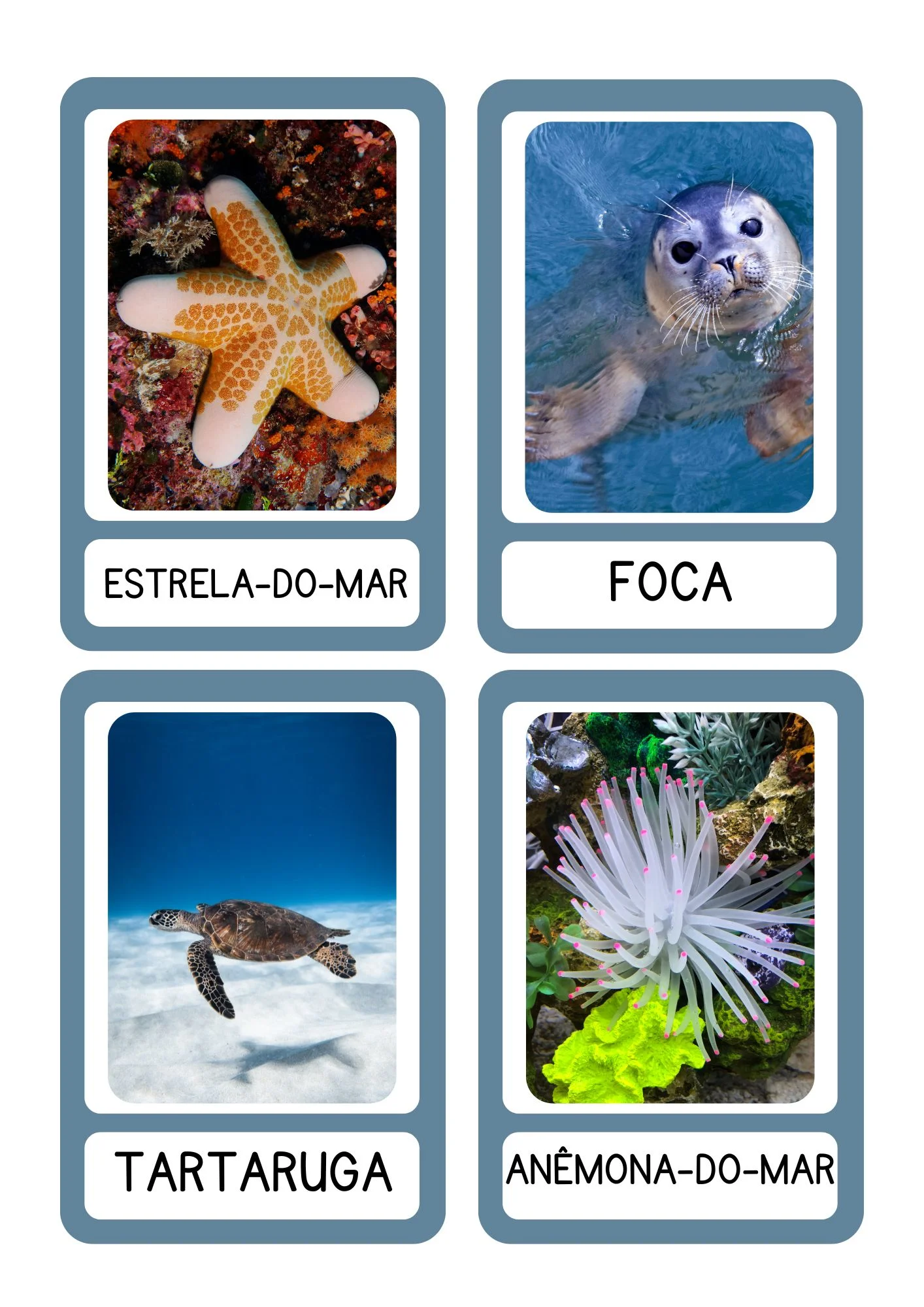 Jogo da Memória Animais Marinhos 24 Pares PDF para Imprimir — amostra 3: 🧠 HABILIDADES DESENVOLVIDAS