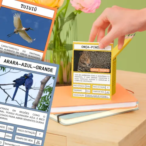 Jogo de Cartas: Animais do Brasil - Ciências 3°ano e 4°ano — amostra 1: Atividade de Ciências para aprender sobre as…