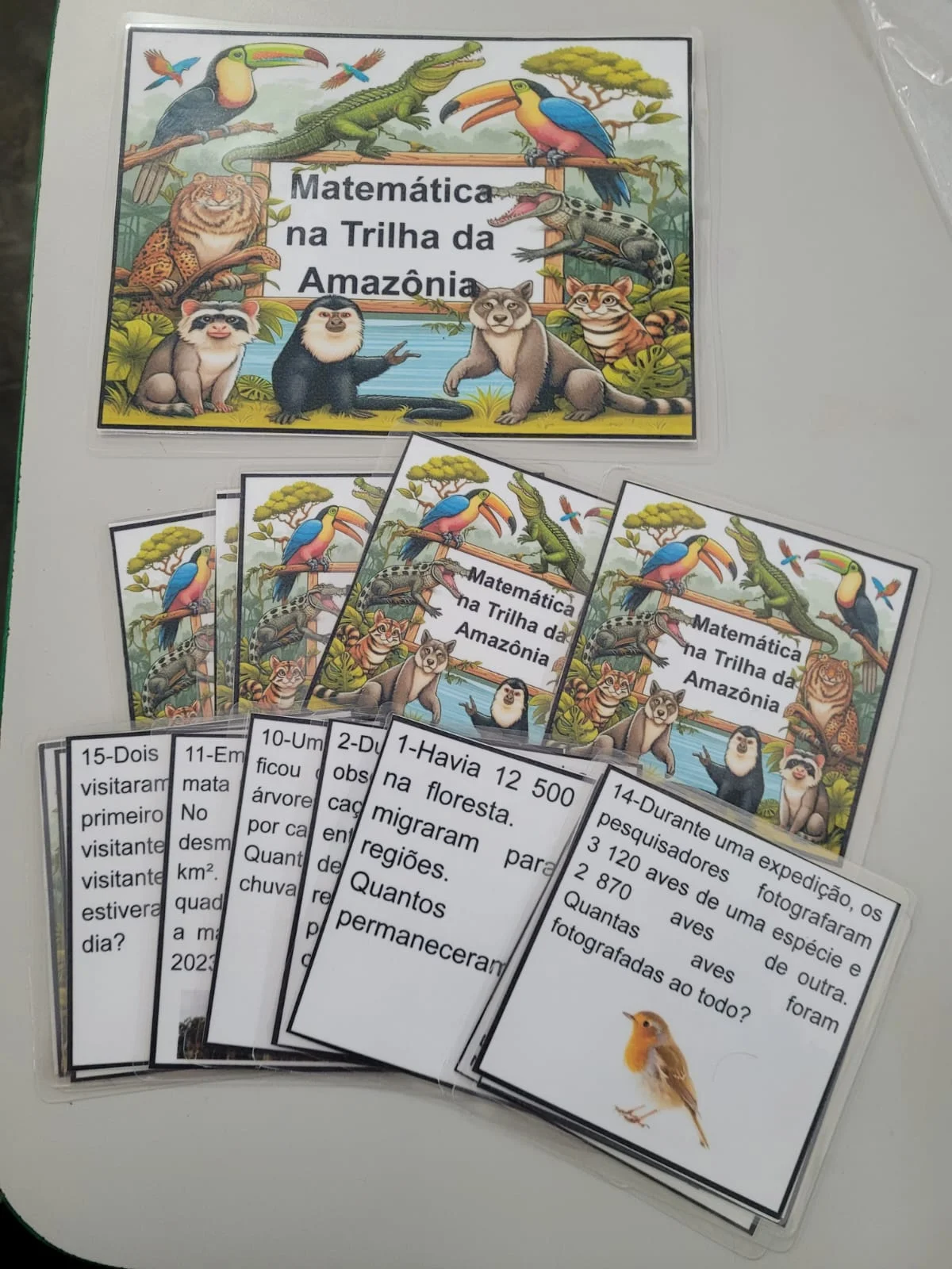 Jogo Matemática na Trilha da Amazônia – Adição e Subtração. — amostra 1: Descrição completa