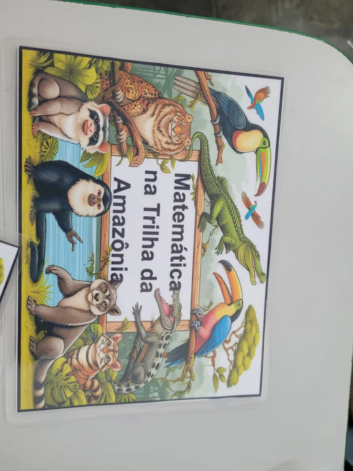 Jogo Matemática na Trilha da Amazônia – Adição e Subtração. — amostra 2: Conheça o material