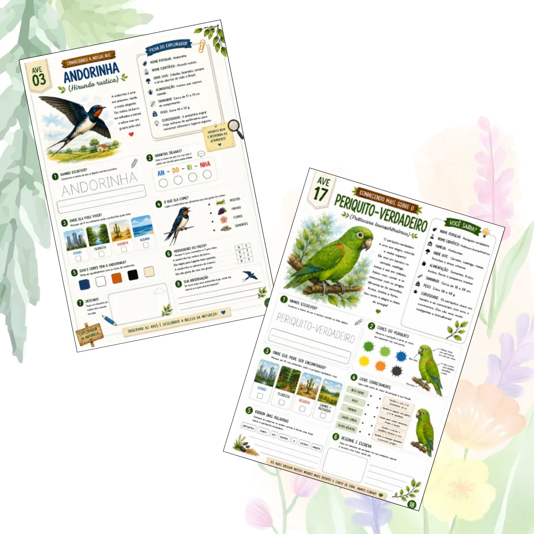 Aves Brasileiras: um kit para aprender brincando — amostra 3: Conheça 20 aves incríveis com pinturas e atividades lúdicas…