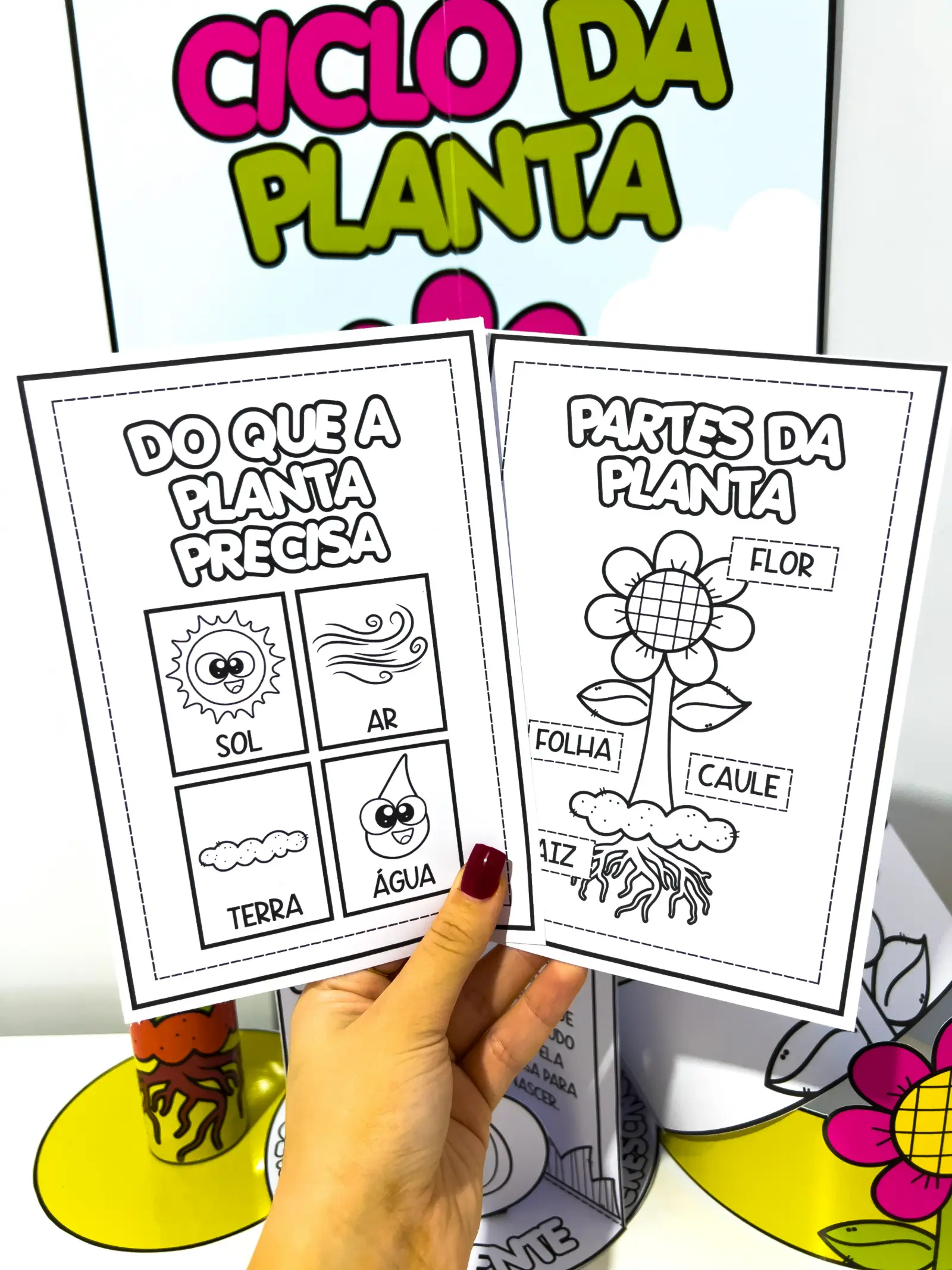Kit Ciclo da Planta – Material Pedagógico — amostra 2: Kit Ciclo da Planta é um recurso pedagógico lúdico e visual que… Kit Ciclo da Planta – Material Pedagógico — amostra 2: Kit Ciclo da Planta é um recurso pedagógico lúdico e visual que…