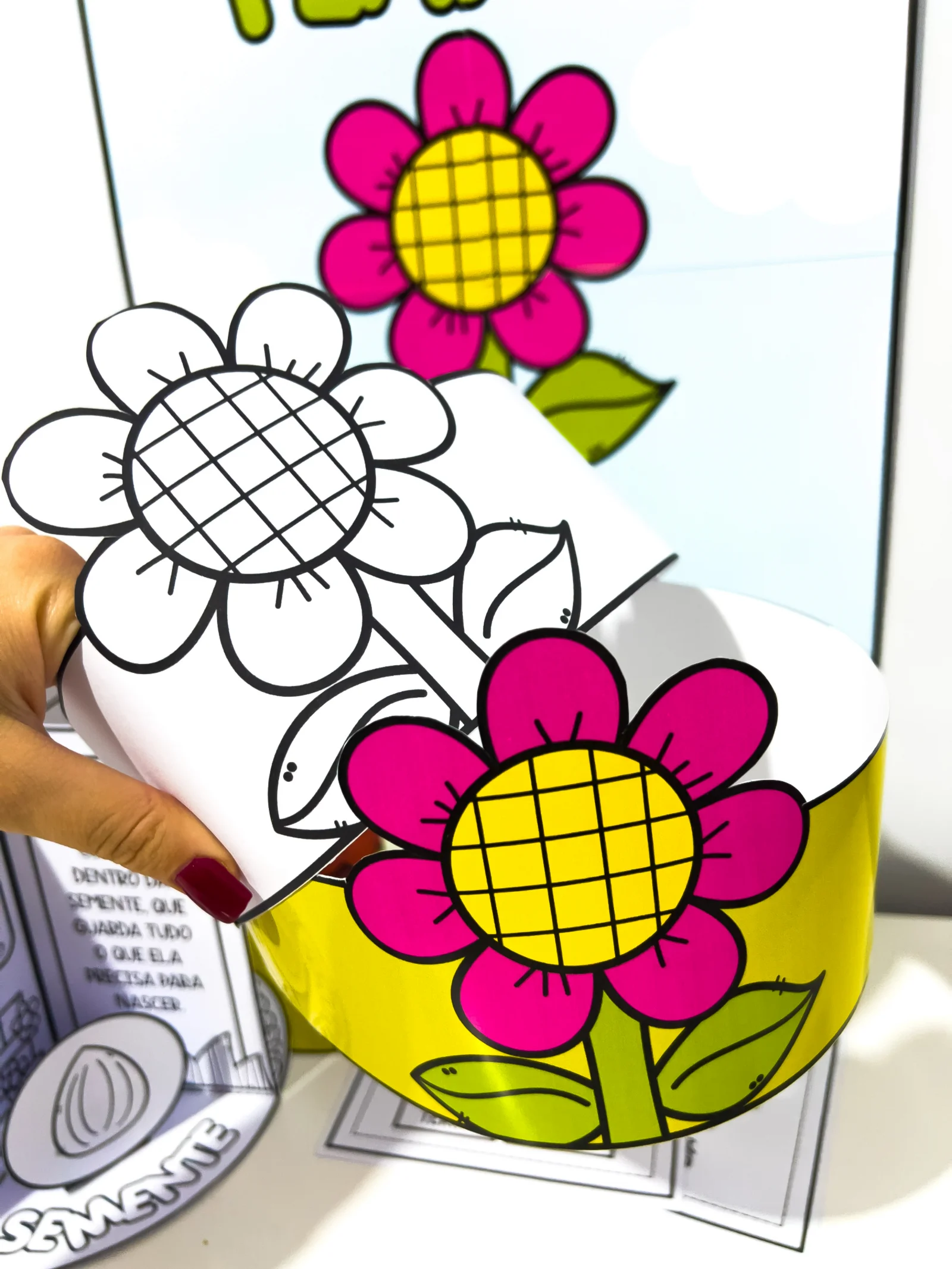 Kit Ciclo da Planta – Material Pedagógico — amostra 4: Kit Ciclo da Planta é um recurso pedagógico lúdico e visual que… Kit Ciclo da Planta – Material Pedagógico — amostra 4: Kit Ciclo da Planta é um recurso pedagógico lúdico e visual que…