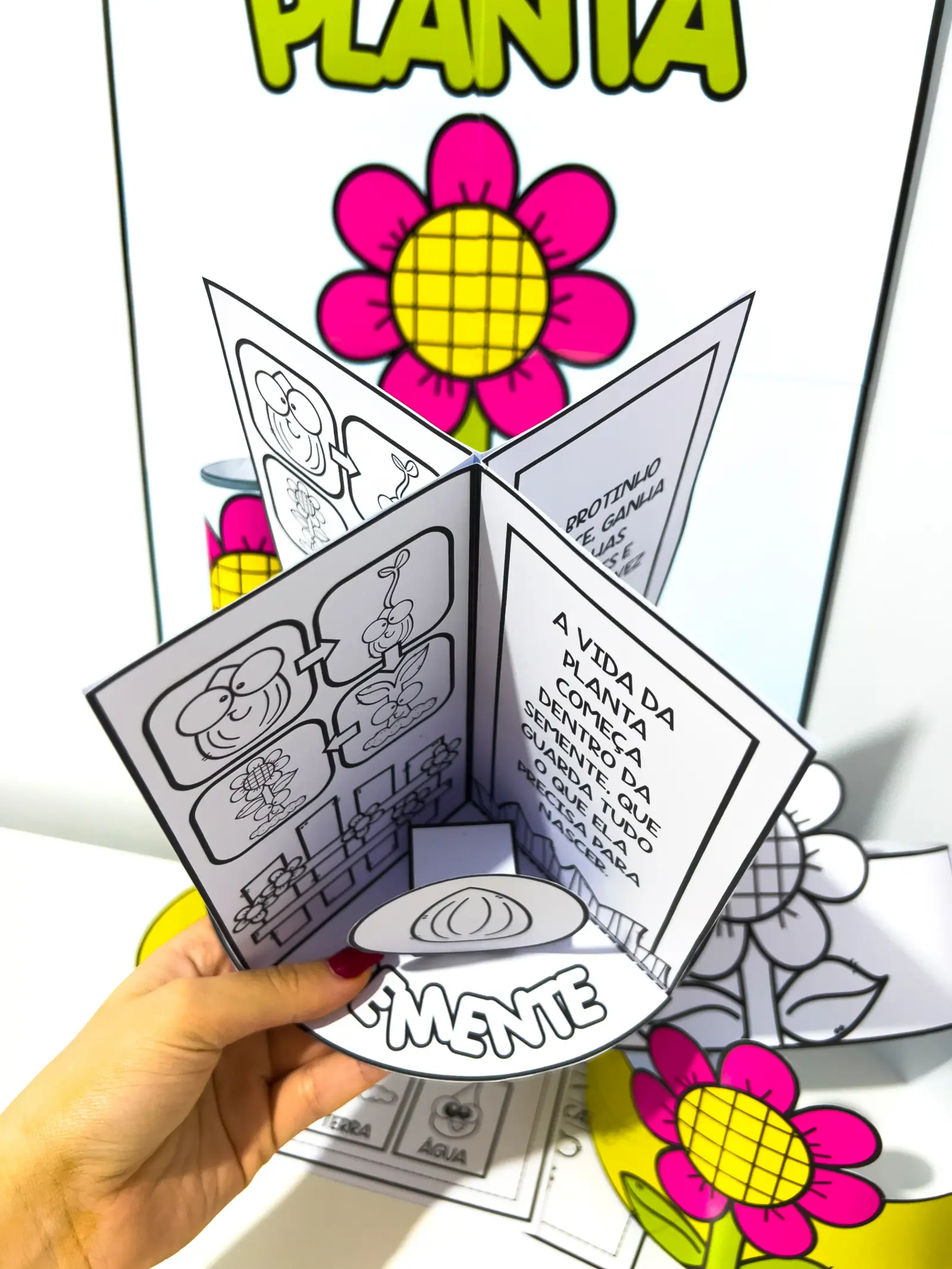 Kit Ciclo da Planta – Material Pedagógico — amostra 5: Kit Ciclo da Planta é um recurso pedagógico lúdico e visual que… Kit Ciclo da Planta – Material Pedagógico — amostra 5: Kit Ciclo da Planta é um recurso pedagógico lúdico e visual que…