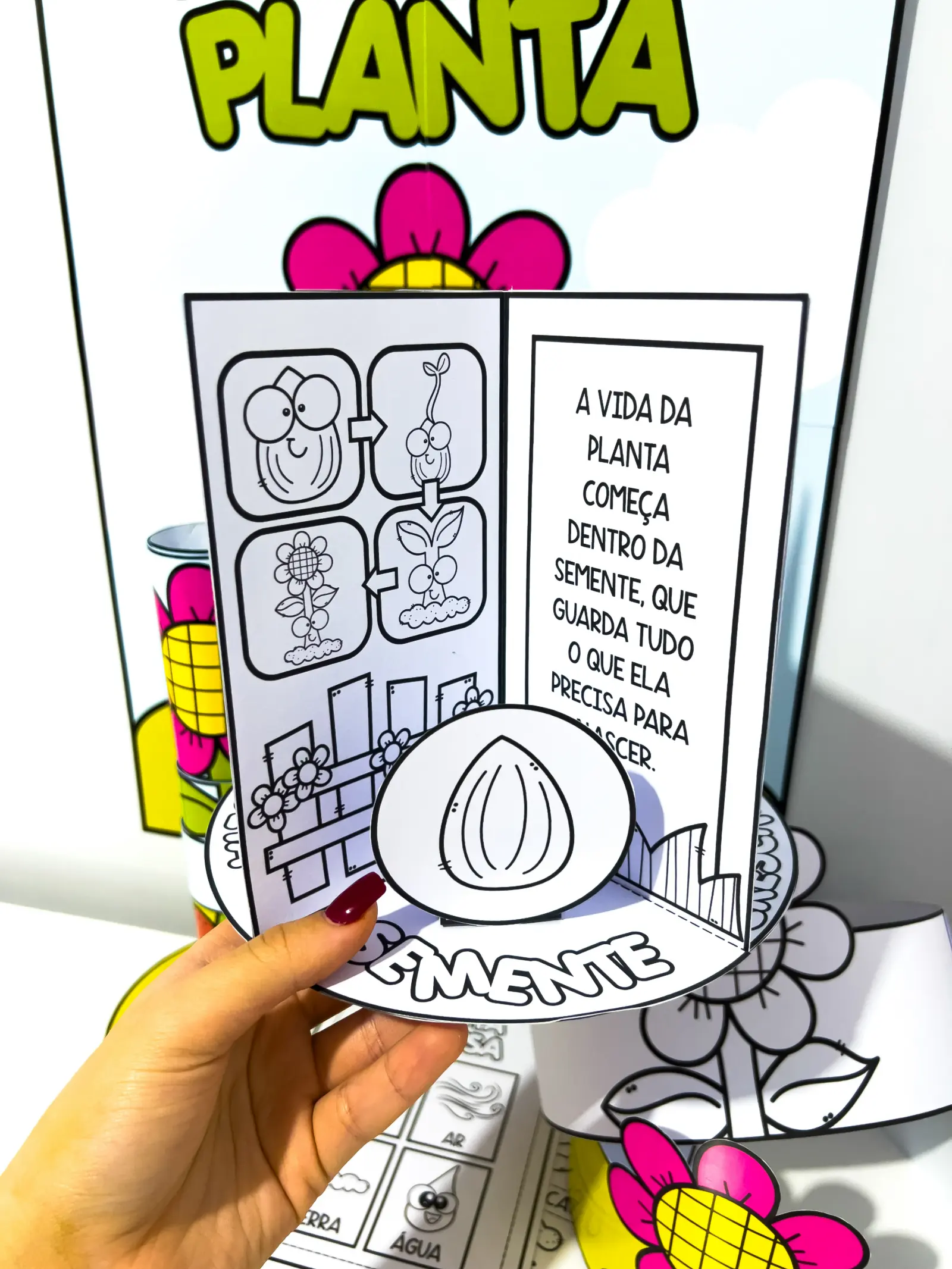 Kit Ciclo da Planta – Material Pedagógico — amostra 6: Kit Ciclo da Planta é um recurso pedagógico lúdico e visual que… Kit Ciclo da Planta – Material Pedagógico — amostra 6: Kit Ciclo da Planta é um recurso pedagógico lúdico e visual que…