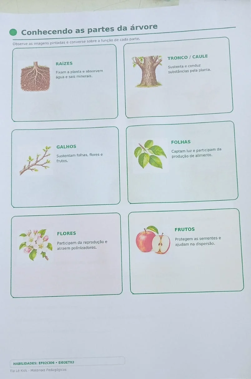 Kit Dia da Árvore e Primavera – Painel e Atividades BNCC — amostra 1: Kit completo para o Dia da Árvore e a Primavera, com… Kit Dia da Árvore e Primavera – Painel e Atividades BNCC — amostra 1: Kit completo para o Dia da Árvore e a Primavera, com…