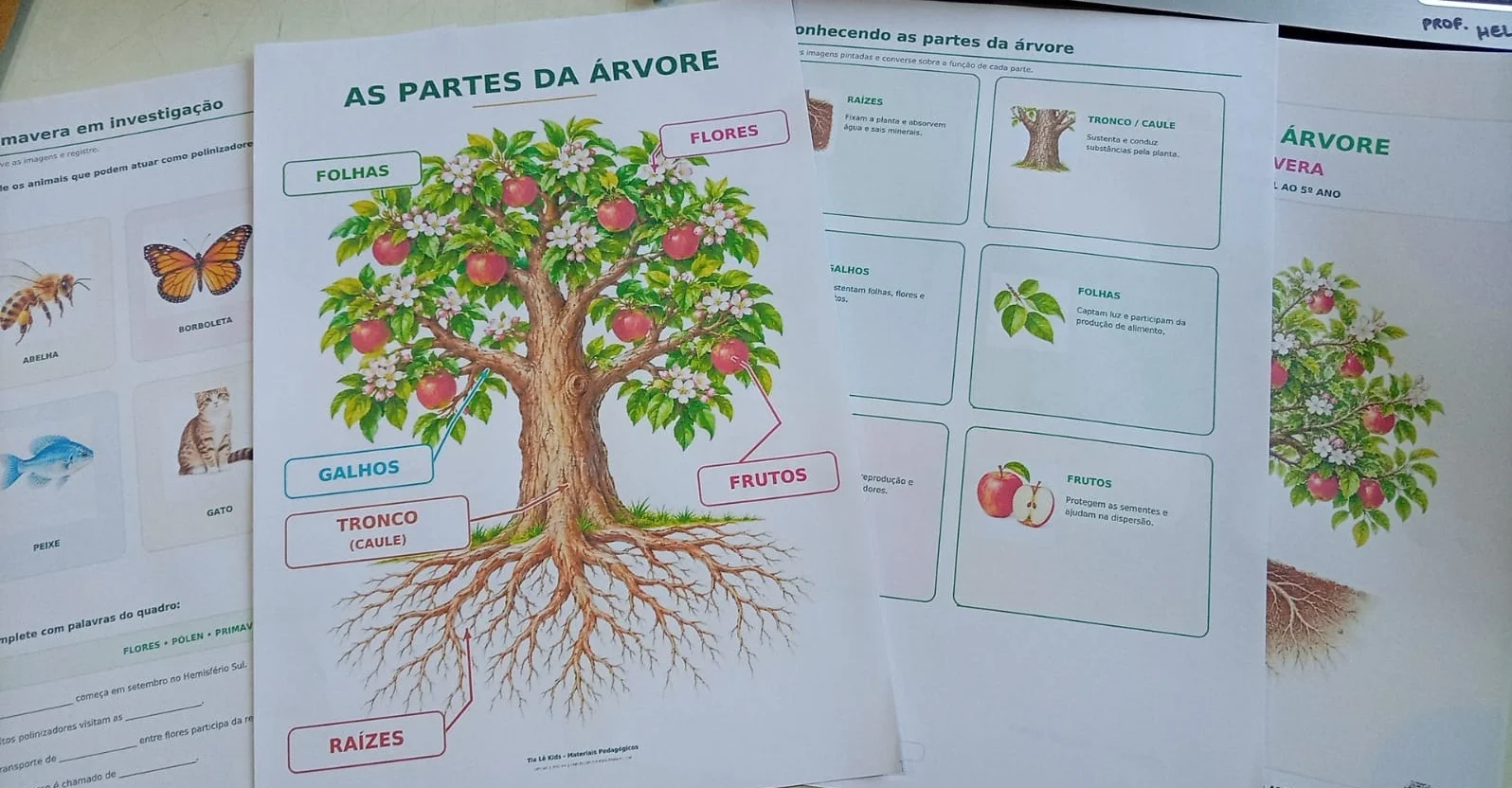 Kit Dia da Árvore e Primavera – Painel e Atividades BNCC — amostra 2: Kit completo para o Dia da Árvore e a Primavera, com… Kit Dia da Árvore e Primavera – Painel e Atividades BNCC — amostra 2: Kit completo para o Dia da Árvore e a Primavera, com…